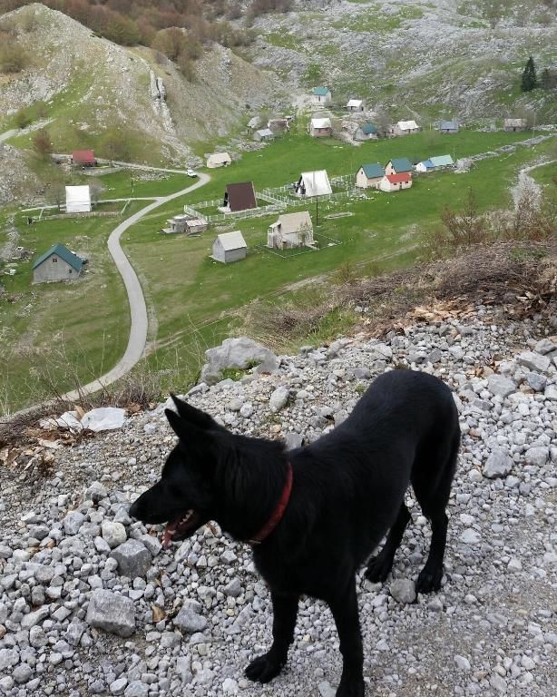 Шале Katun Mokra Подгорица-104