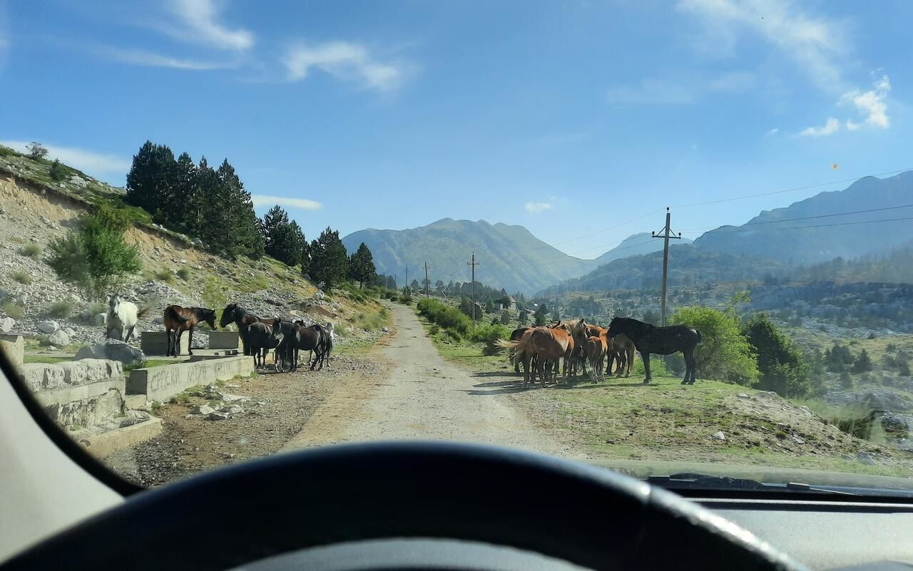 Шале Katun Mokra Подгорица-22