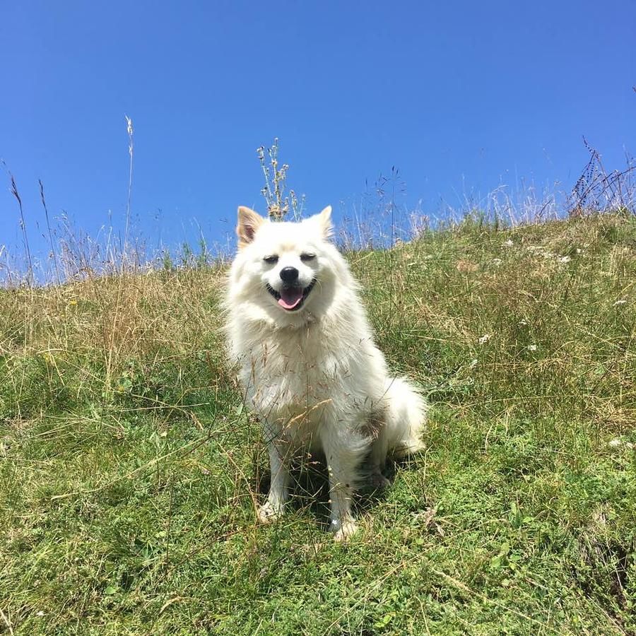 Шале Katun Mokra Подгорица-47