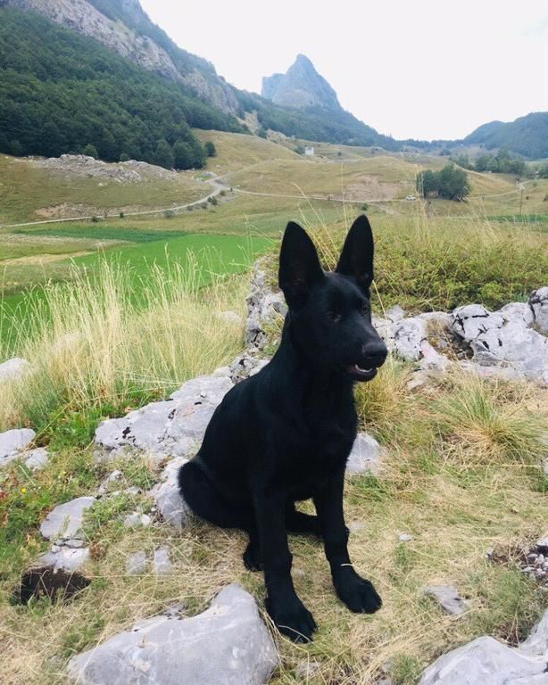 Шале Katun Mokra Подгорица-54