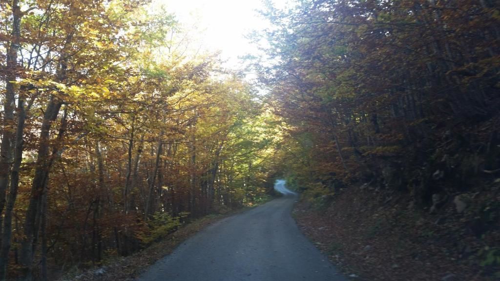 Шале Katun Mokra Подгорица-65