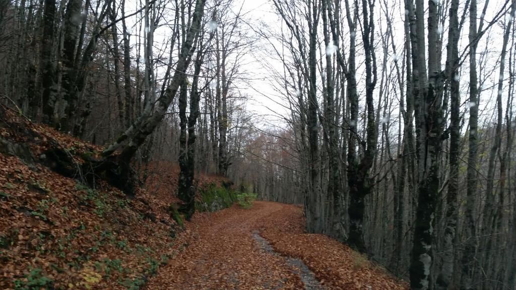 Шале Katun Mokra Подгорица-66