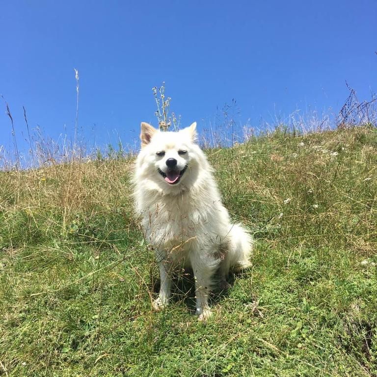 Шале Katun Mokra Подгорица-73