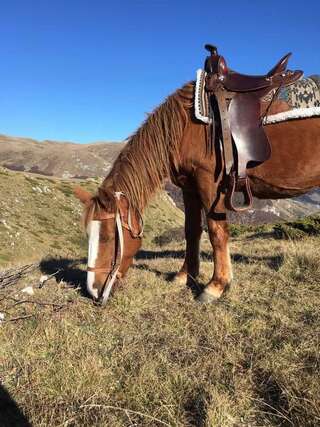 Шале Katun Mokra Подгорица Шале с двумя спальнями-13