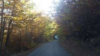 Шале Katun Mokra Подгорица Шале с двумя спальнями-40