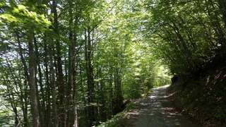 Шале Katun Mokra Подгорица Шале с двумя спальнями-50