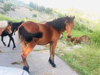 Шале Katun Mokra Подгорица Шале с двумя спальнями-52