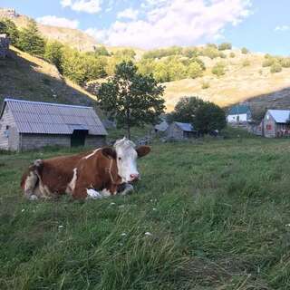 Шале Katun Mokra Подгорица Шале с двумя спальнями-74