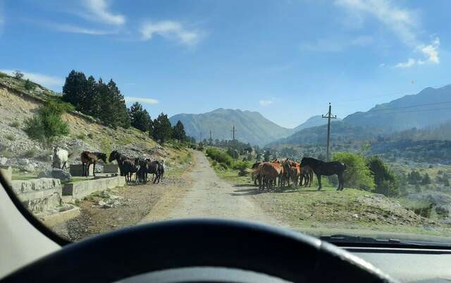 Шале Katun Mokra Подгорица-21