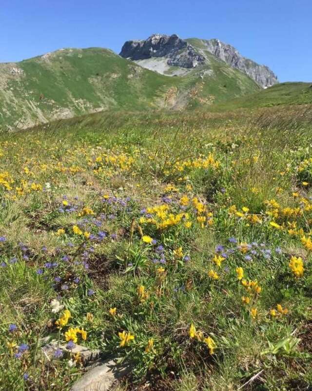 Шале Katun Mokra Подгорица-57