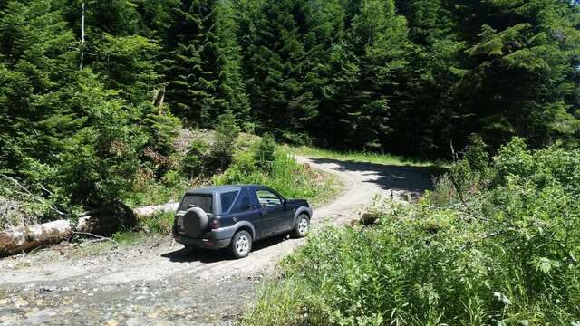 Шале Katun Mokra Подгорица-69