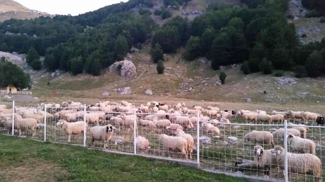 Шале Katun Mokra Подгорица-70