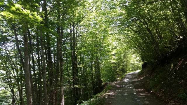 Шале Katun Mokra Подгорица-74